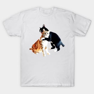TUXEDO CAT HUGGING ORANGE TABBY CAT T-Shirt